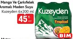 KUZEYDEN MANGO VE ÇARKIFELEK AROMALI MADEN SUYU 6X200 ML KUZEYDEN MANGO VE ÇARKIFELEK AROMALI MADEN SUYU 6X200 ML